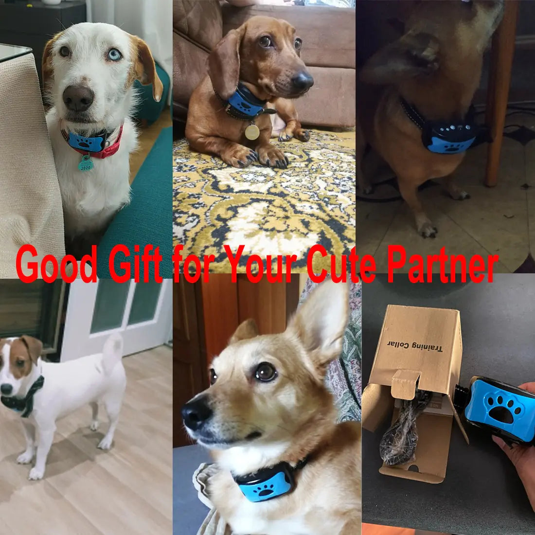 Ultrasonic Anti-Bark Dog Training Collar - ZAGAZOOM